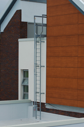 Arresta Rail Fall Arrest System